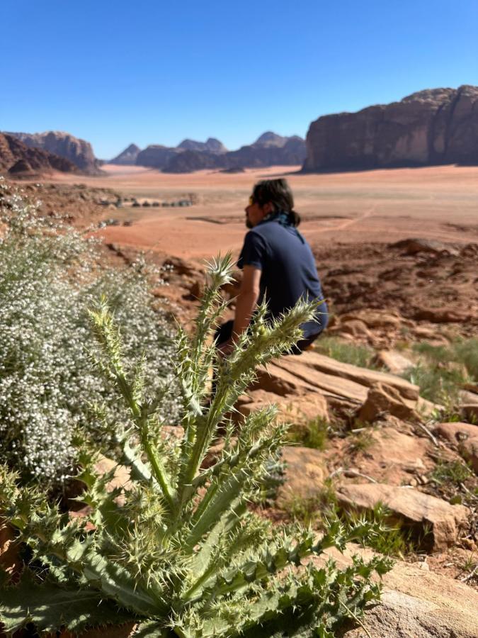 ホテル Bedouin Future Camp ワディ ・ラム エクステリア 写真