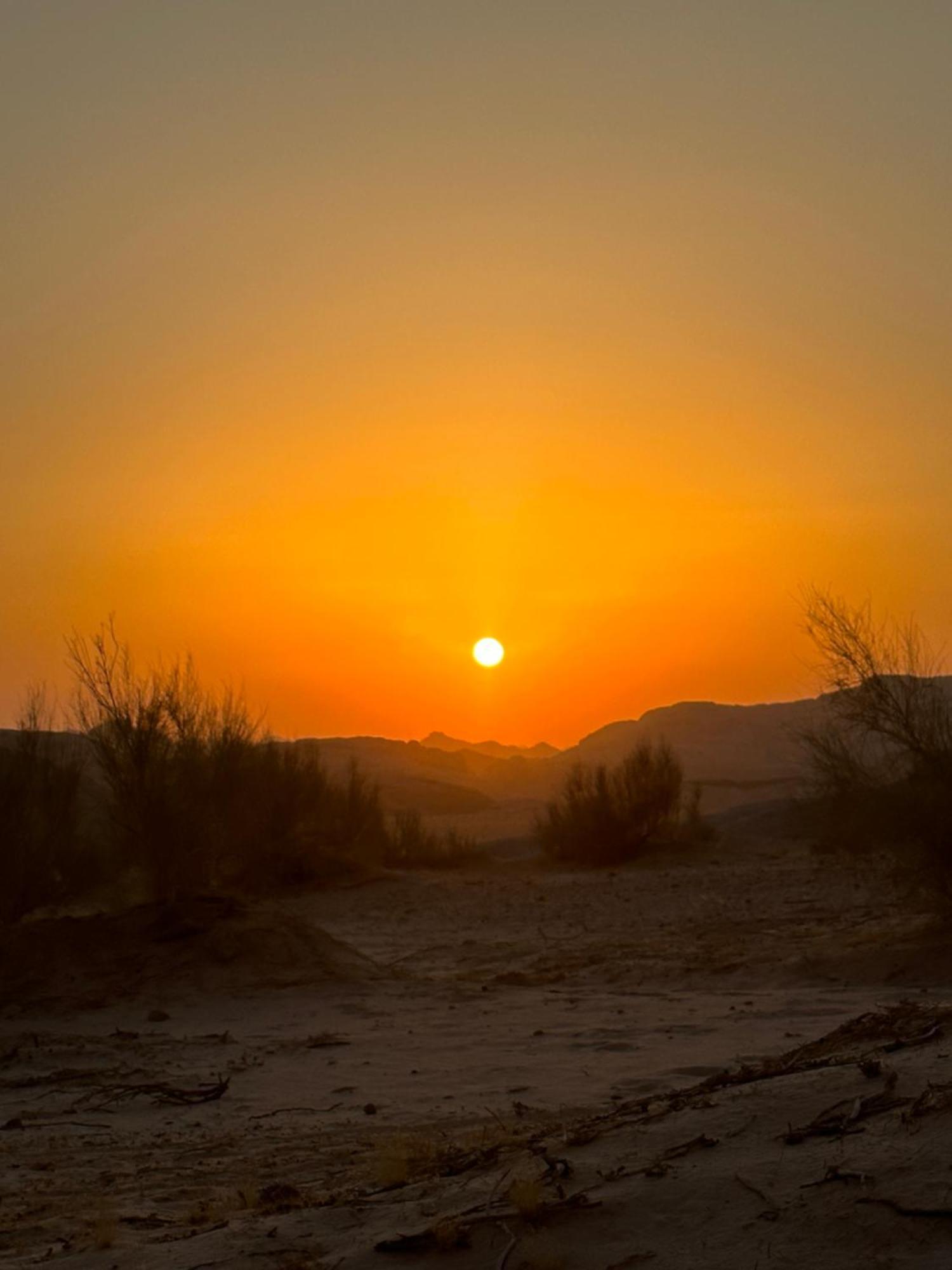 ホテル Bedouin Future Camp ワディ ・ラム エクステリア 写真